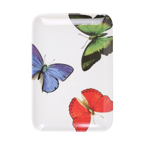 thomaspaul metamorphosis butterfly tray collection at maeree