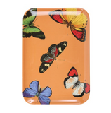 thomaspaul metamorphosis butterfly tray collection at maeree